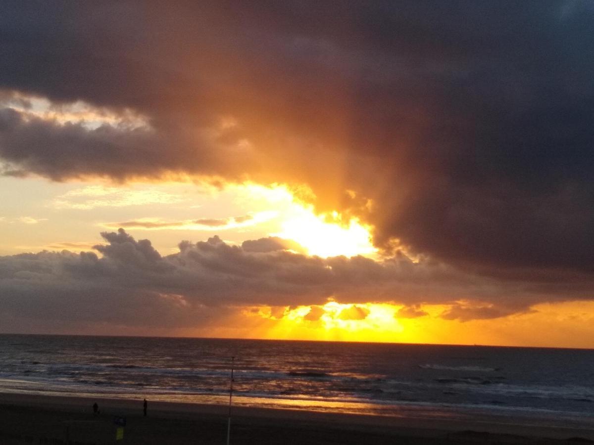 Duinen Paradijs Zandvoort Esterno foto